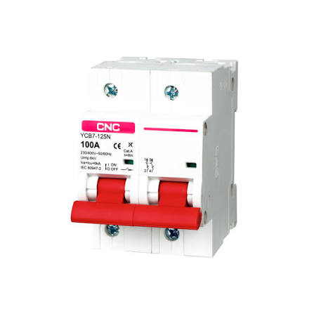 MCB AC 2P 100A