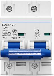 MCB AC 2P 100A